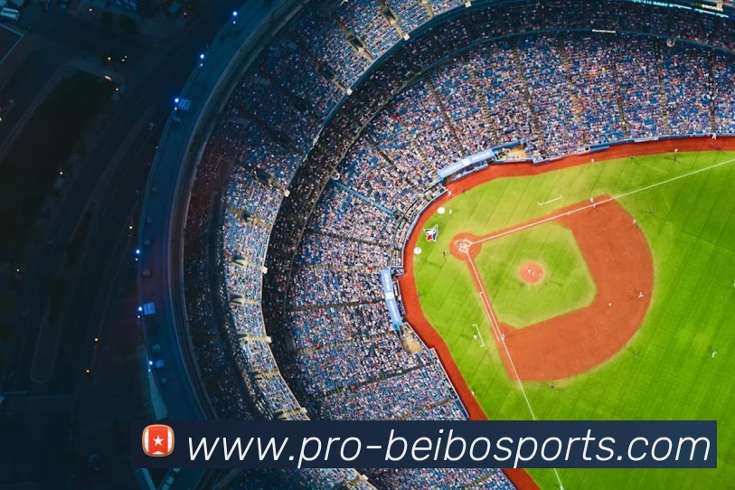 多媒体互动体验